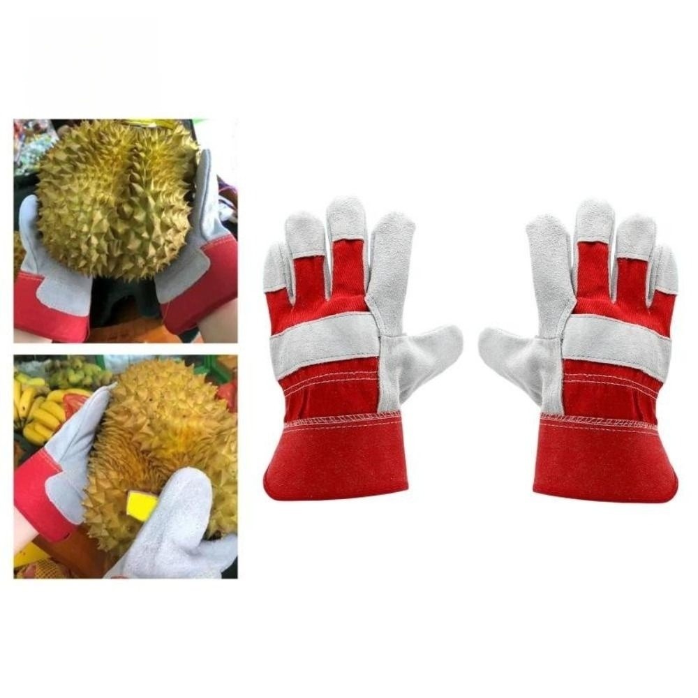 Cut Resistant Glove - Gants de jardinage en cuir de